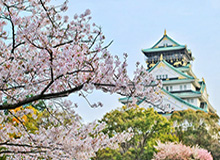 黑白体育登录入口-自由媒体：F1空场办赛影响收益 车队受冲击最大